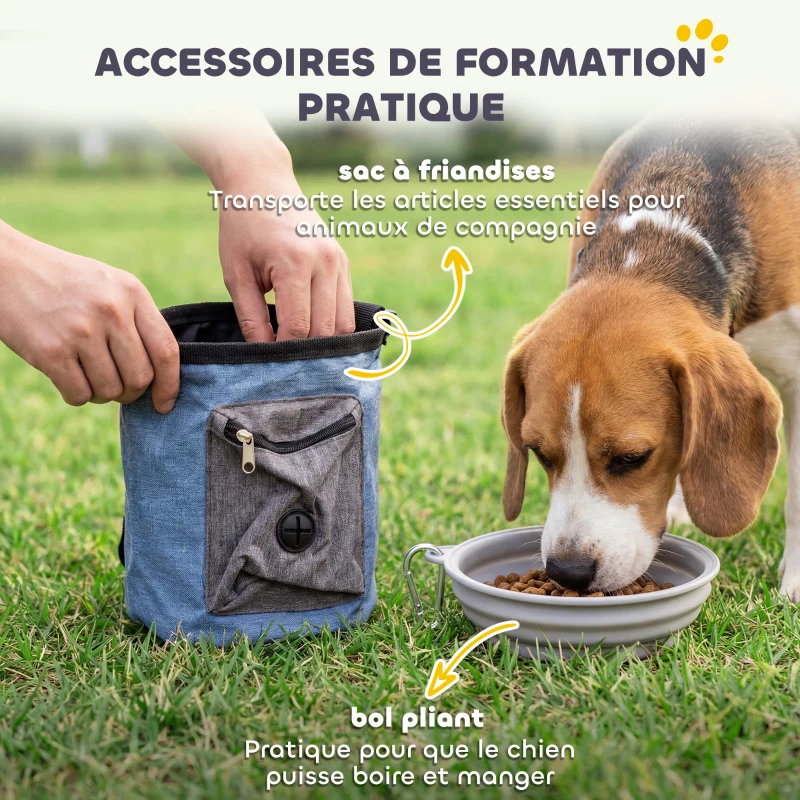 PawHut Ensemble d'Agilité pour Chien 11 Pièces, Parcours d'Obstacle avec 2 Tunnels, Sauts Ajustables, Orange et Bleu