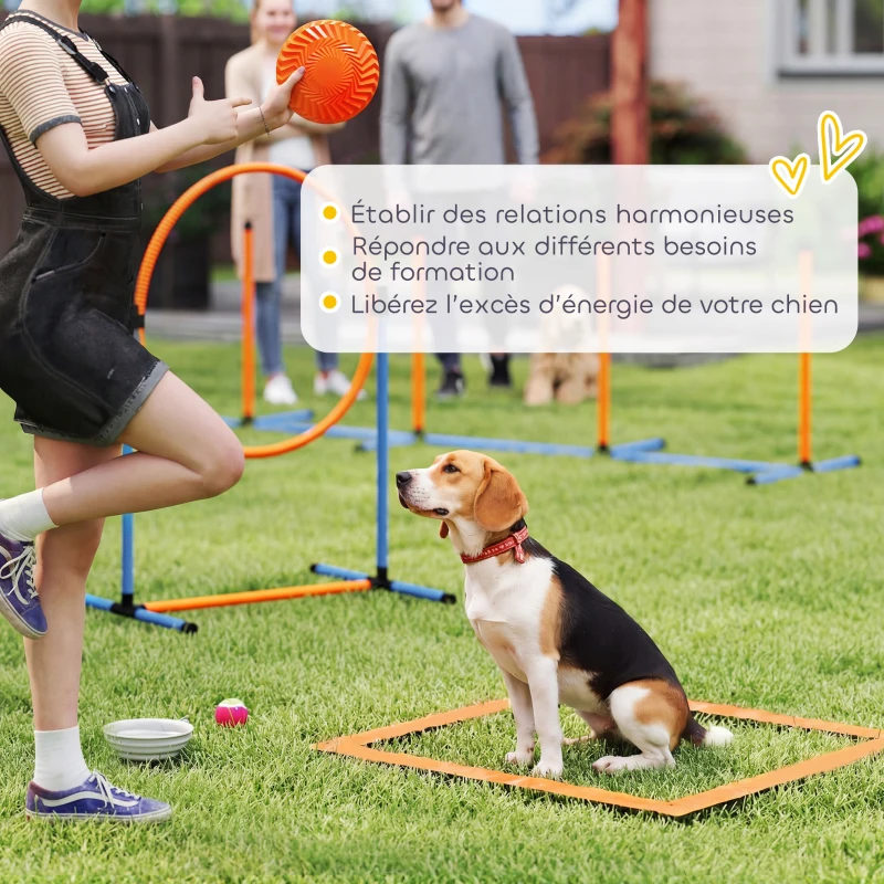PawHut Ensemble d'Agilité pour Chien 11 Pièces, Parcours d'Obstacle avec 2 Tunnels, Sauts Ajustables, Orange et Bleu