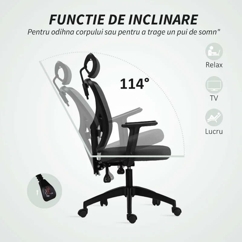 Vinsetto Scaun de birou ergonomic și reglabil cu suport lombar și tetieră, 66x61x106-116 cm, gri