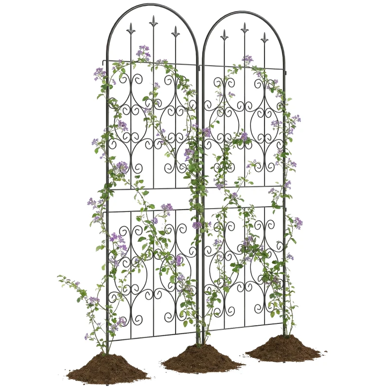 Outsunny Lot de 2 Supports pour Plantes Grimpantes, Treillis de Jardin, pour Légumes, Vignes, Fleurs, en Métal, 50 x 180 cm, Noir