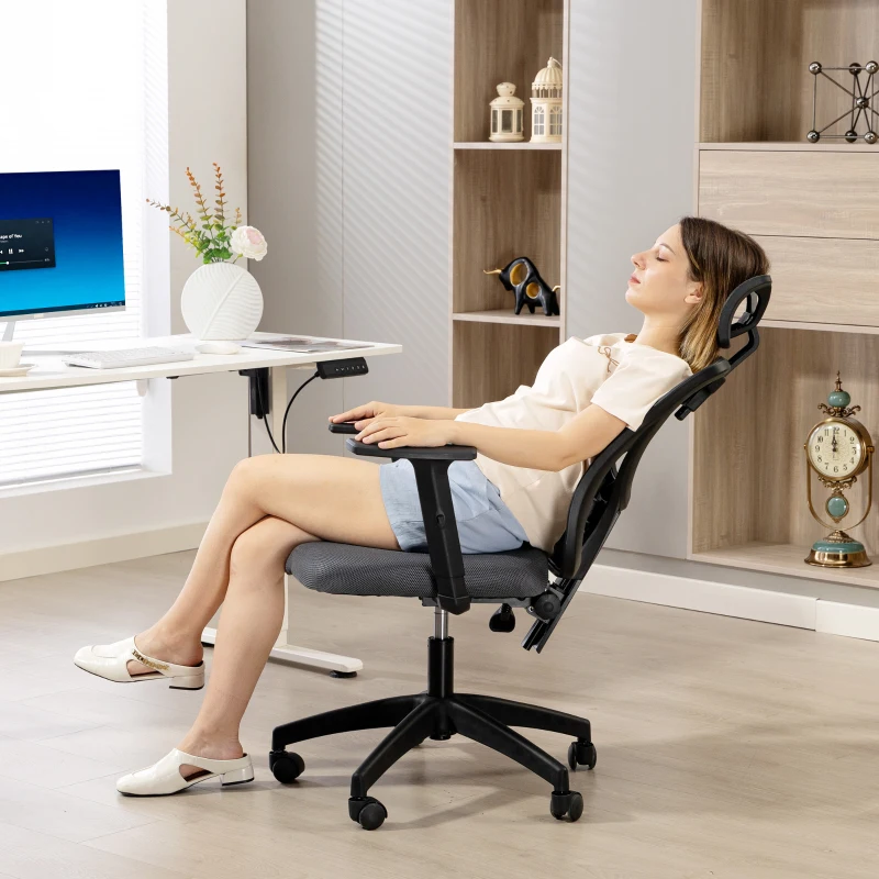 Vinsetto Scaun de birou ergonomic și reglabil cu suport lombar și tetieră, 66x61x106-116 cm, gri