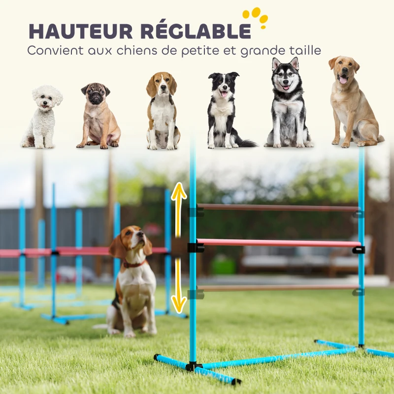 PawHut Agility Sport pour Chiens, Set de 4 Obstacles Professionnels avec Système de Maintien au Sol, 99x65x94cm, Bleu Clair