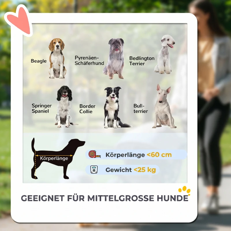 PawHut Opvouwbare Hondenbuggy voor 2 Kleine Honden tot 25 kg Donkergroen(m-4)