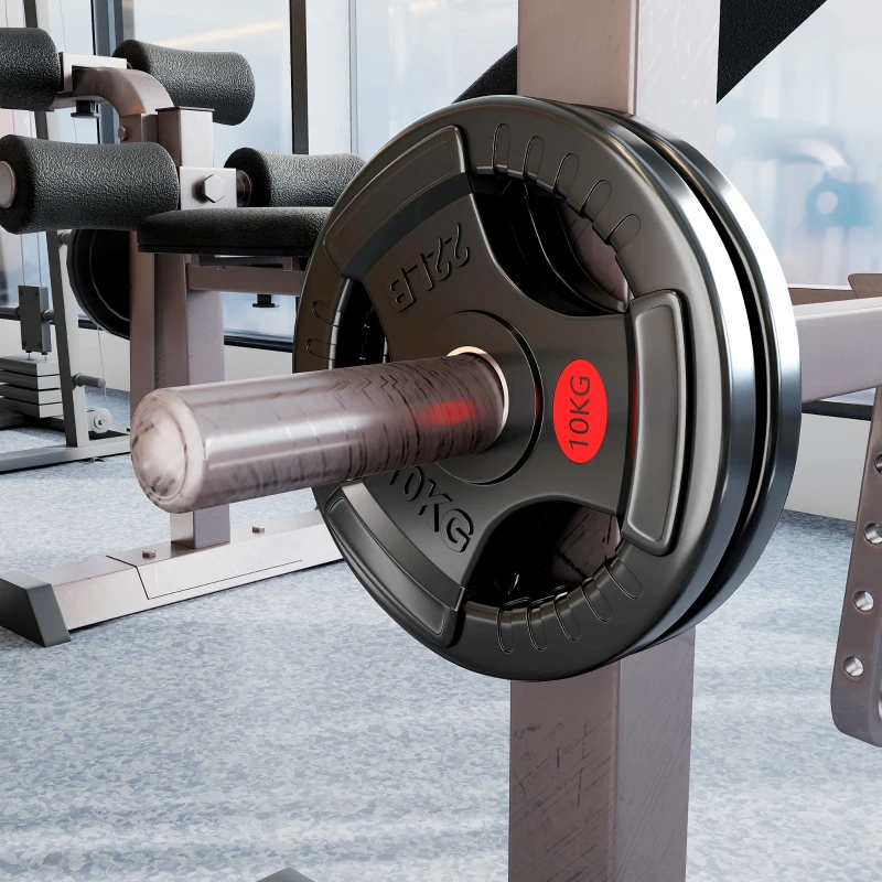 SPORTNOW Set di Dischi Pesi 2x10 kg con Foro da 5 cm e 3 Impugnature, Acciaio con Rivestimento in Plastica, Nero