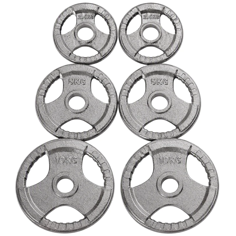 HOMCOM Juego de 6 Discos de Pesas de Acero Total de 35 kg 2x10 kg 2x5 kg 2x2,5 kg Discos Olímpicos con Orificio Central de Ø54 mm para Entrenamiento en Casa Gimnasio Plata