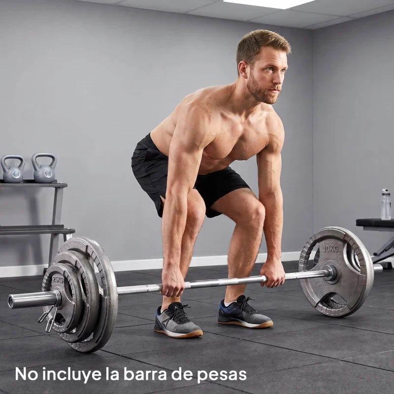 HOMCOM Juego de 6 Discos de Pesas de Acero Total de 35 kg 2x10 kg 2x5 kg 2x2,5 kg Discos Olímpicos con Orificio Central de Ø54 mm para Entrenamiento en Casa Gimnasio Plata