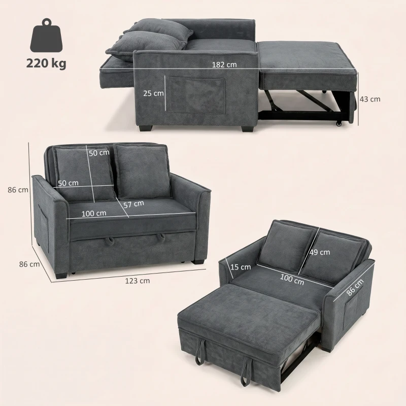 HOMCOM Sofá Cama 2 Plazas 3 en 1 con Respaldo Ajustable Bolsillos Laterales 2 Almohadas para Sala de Estar Gris Oscuro
