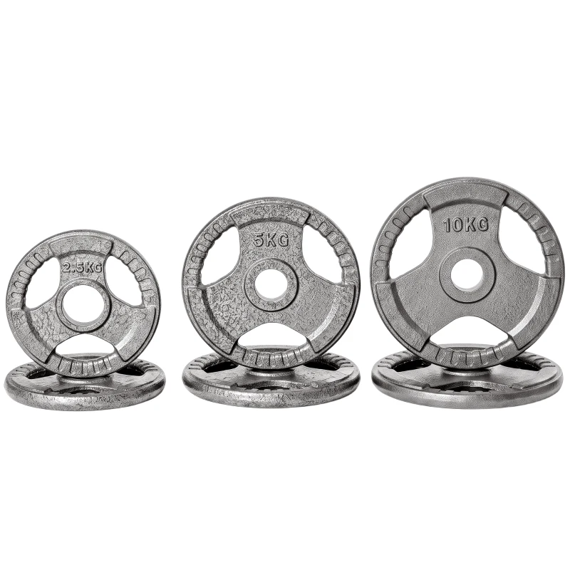 HOMCOM Juego de 6 Discos de Pesas de Acero Total de 35 kg 2x10 kg 2x5 kg 2x2,5 kg Discos Olímpicos con Orificio Central de Ø54 mm para Entrenamiento en Casa Gimnasio Plata