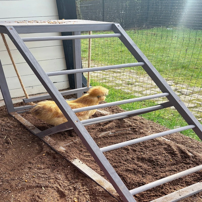 PawHut Wooden Chicken Coop Toy with Swing, Ladder, Platform, Grey