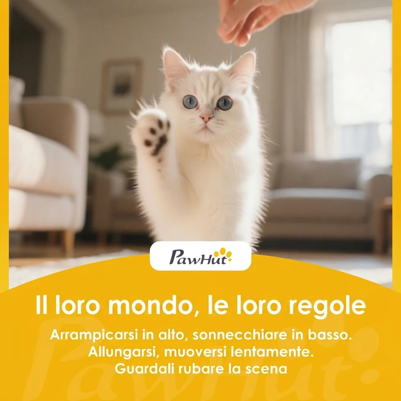 PawHut Gabbia per Gatti Recinto Personalizzabile 3 Livelli, 105cm, Nero