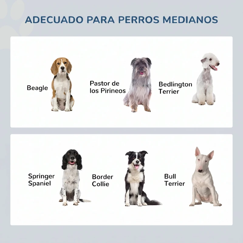 PawHut Comedero Elevado para Perros con 2 Cuencos Extraíbles de Acero Inoxidable 58,4x30,5x25,4 cm Gris