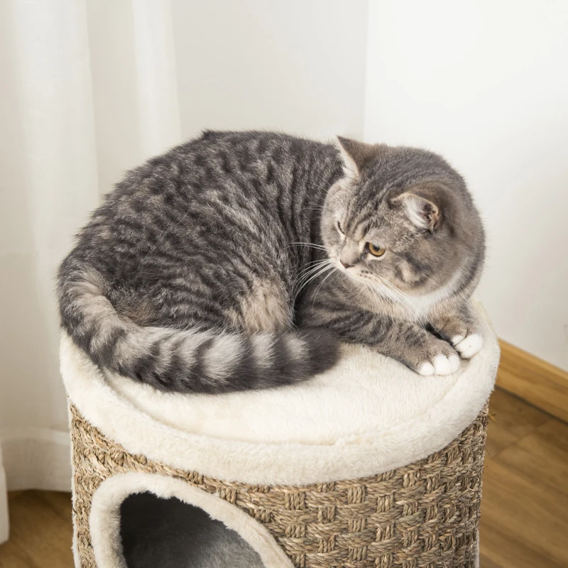 PawHut Tonneau à Gratter pour Chat, Arbre à Chat Sisal Naturel et Herbiers Marins Recouvert de Peluche, 37,5 x 37,5 x 70 cm, Kaki et Café