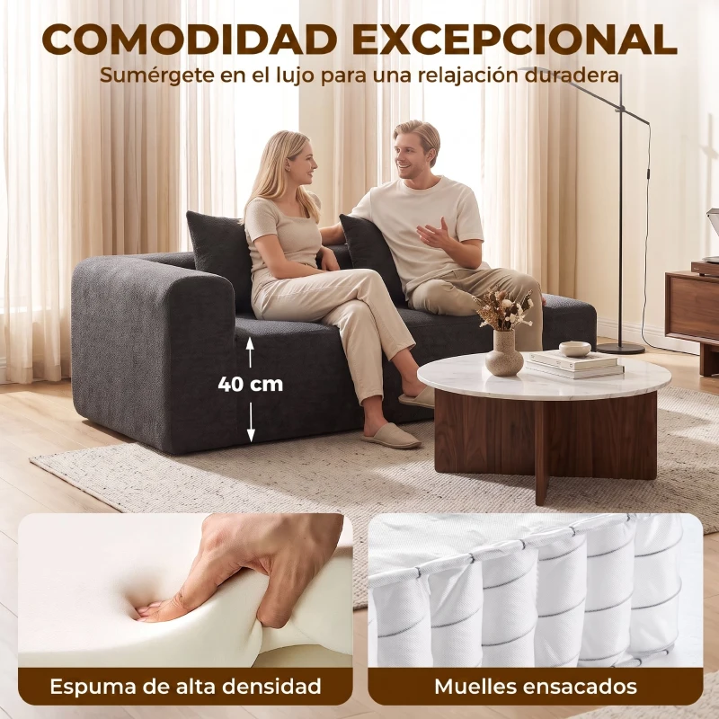 HOMCOM Sofá de 2 Plazas de Chenilla con 2 Almohadas Asiento con Muelles No Requiere Montaje 71,5x91,5x83 cm Gris Oscuro