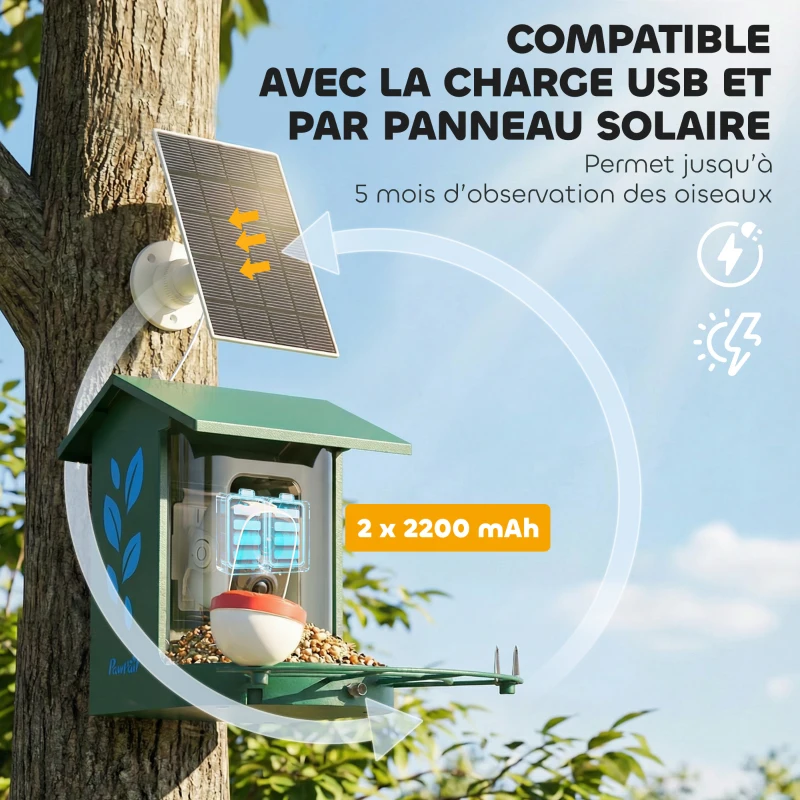 PawHut Mangeoire à Oiseaux avec Caméra 2K Solaire 2,5L 142°, Identification IA 16000+, App, IP65, SD 32 Go, 30x34,5x26,3cm Vert