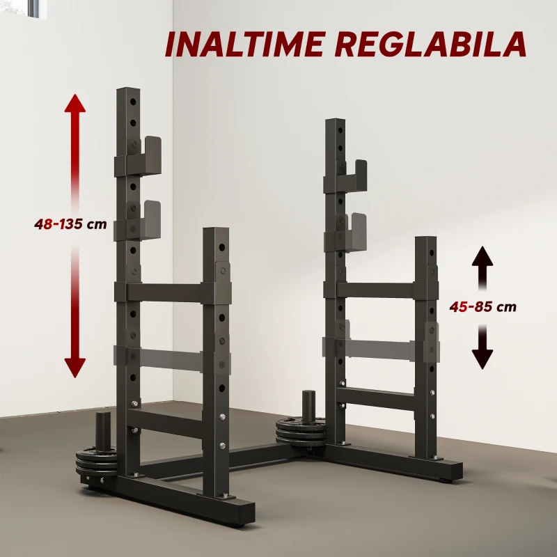 SPORTNOW Suport Reglabil pentru Haltere cu 2 Niveluri și Suport pentru Discuri, 110x91x145 cm, Negru