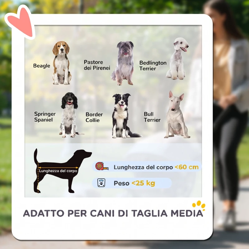 PawHut Passeggino per Cani Taglia Media Pieghevole con Finestre a Rete, Cuscino e Guinzagli, 124x67x100 cm, Verde Scuro