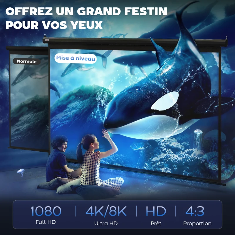 HOMCOM Écran de Projection 120" 4:3 HD 4K, Boîtier en Métal, Écran Hauteur Réglable Manuellement, 244x183cm, Noir