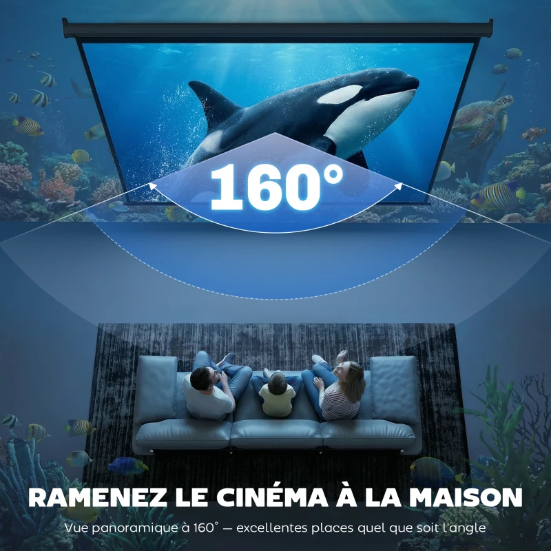 HOMCOM Écran de Projection 120" 4:3 HD 4K, Boîtier en Métal, Écran Hauteur Réglable Manuellement, 244x183cm, Noir