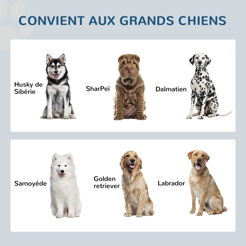 PawHut Gamelles Chiens Surélevées Gamelle Double Chien Chat Porte-Gamelles 2L Acier Inox 60 x 30 x 35,5 cm Gris