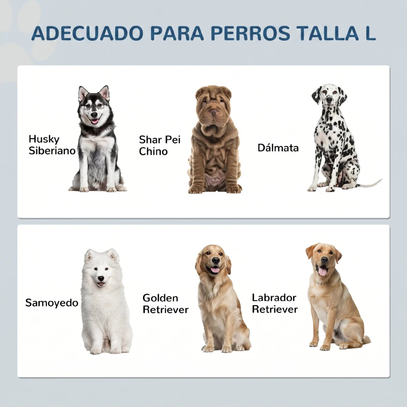 PawHut Comedero Perro Elevado con 2 Cuencos de Acero Inoxidable 2x2 L con Almacenamiento 37L y 2 Puertas con Pestillos Blanco
