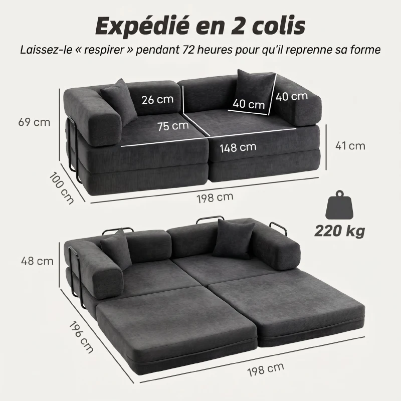 HOMCOM Canapé Convertible 2 Places, Canapé-Lit en Chenille 198 cm, Assise et Accoudoirs Larges, 2 Coussins, Gris Foncé