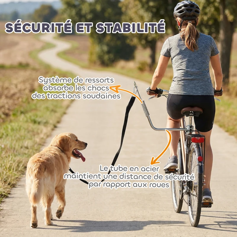PawHut Laisse de Vélo pour Chien 180 cm en Inox , Fixation Rapide, Ressort Amortisseur, Sangle Ajustable, Argent