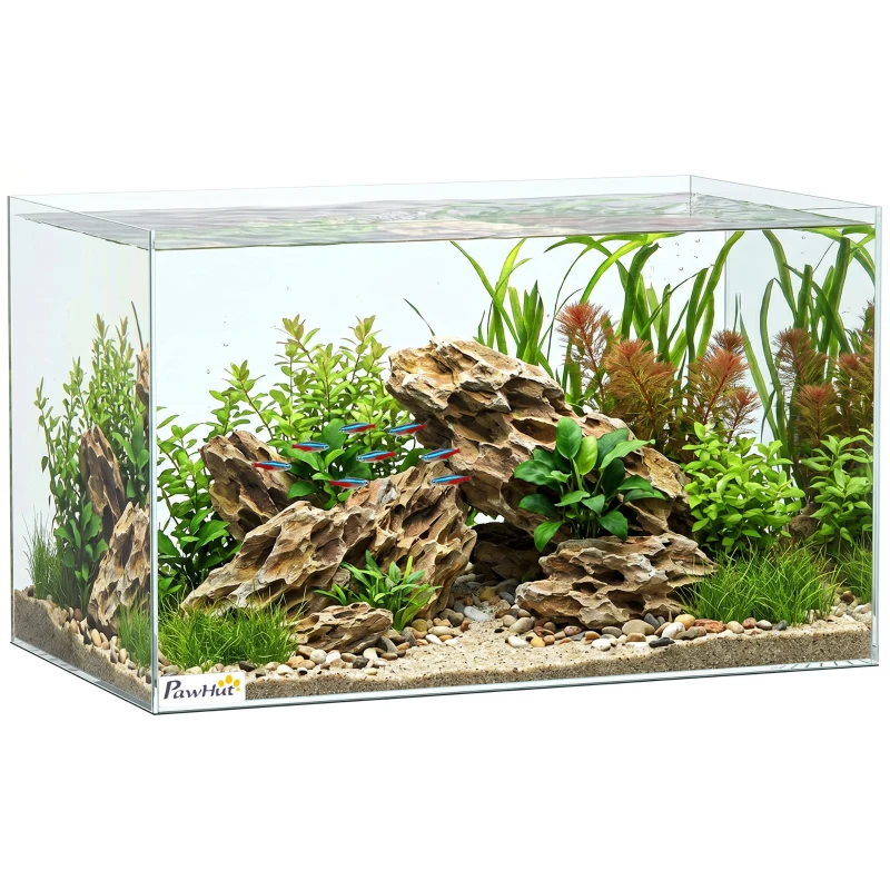 PawHut Aquarium 43L en Verre Trempé avec Tapis de Protection Pour Poissons, Crevettes, Tortues, 50 x 30 x 30 cm, Transparent