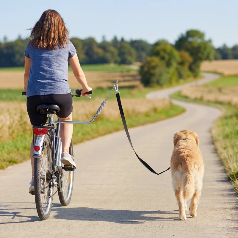 PawHut Laisse de Vélo pour Chien 180 cm en Inox , Fixation Rapide, Ressort Amortisseur, Sangle Ajustable, Argent