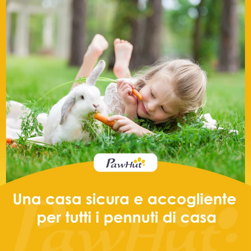 PawHut Conigliera da Esterno in Legno di Pino con Vassoio Estraibile, Tetto Apribile e Porta con Serratura, Grigio
