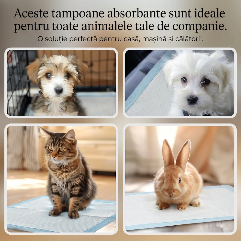 PawHut Set 80 Covorașe Igienice pentru Câini, 6 Straturi, Material Nețesut, Hârtie și PE, 60x60 cm, Albastru și Alb
