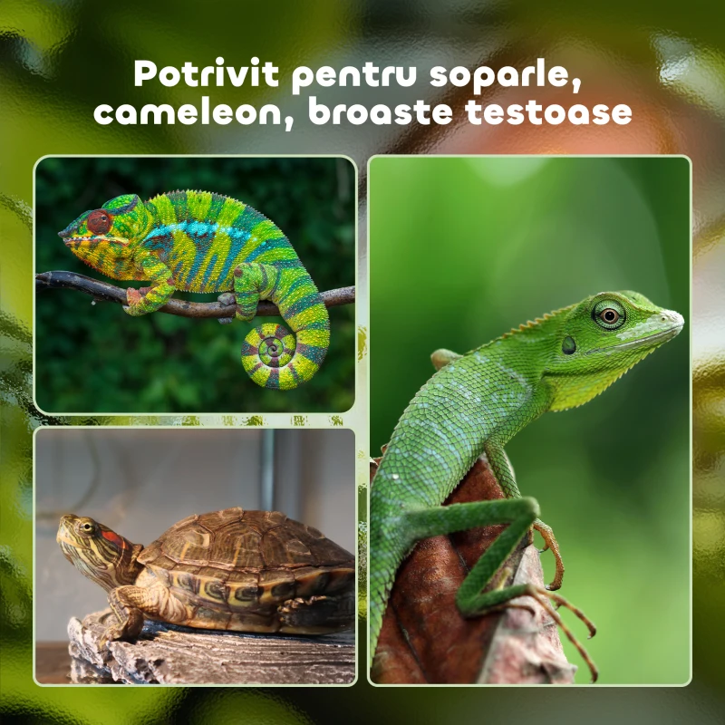 Pawhut Terariu din Sticla 60×40×40,5 cm – Pentru testoase & Reptile