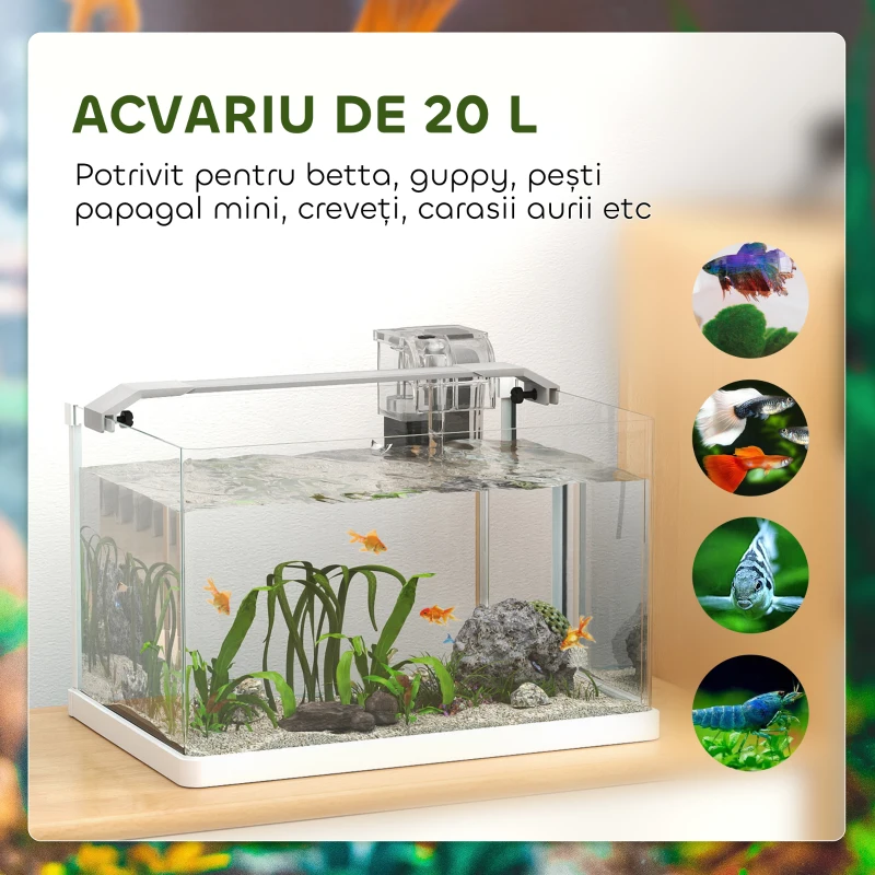 PawHut Acvariu din sticlă cu lumini LED de 20L, filtru și pompă de apă, 38x26x27 cm, alb