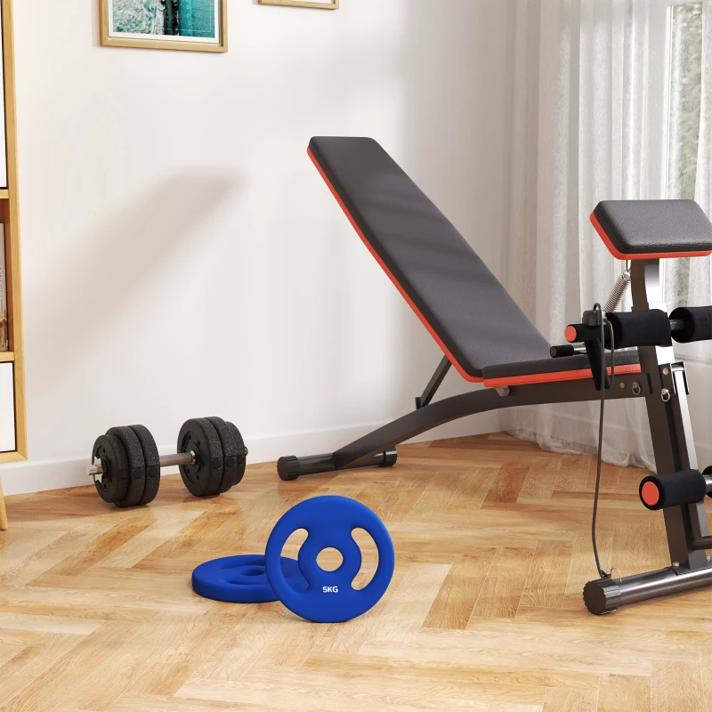 SPORTNOW 2x5 kg Placas de Peso com Pegadas Práticas Conjunto de Pesos para Casa Ginásio Treino de Força Azul