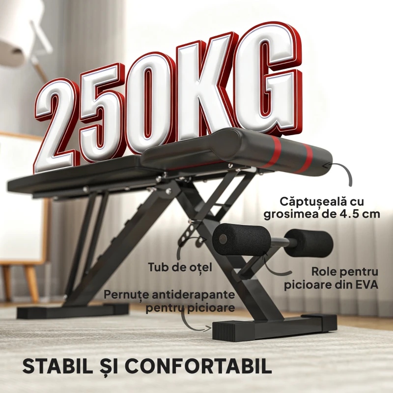 SPORTNOW Bancă Fitness Pliabilă, Bancă Abdominale Multifuncțională Înclinabilă cu Spătar Reglabil pe 6 Niveluri, Negru