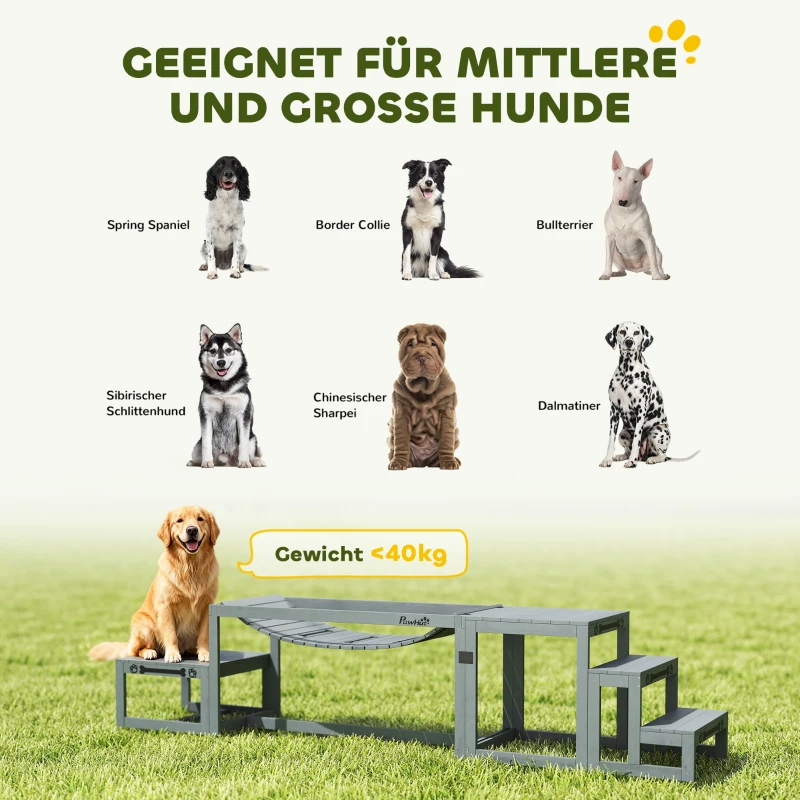 PawHut Hunde Agility Set 3-teiliges Set Agility-Ausrüstung mit Brücke, Treppe, Plattform, Tannenholz, 117 x 50 x 56 cm, Grau