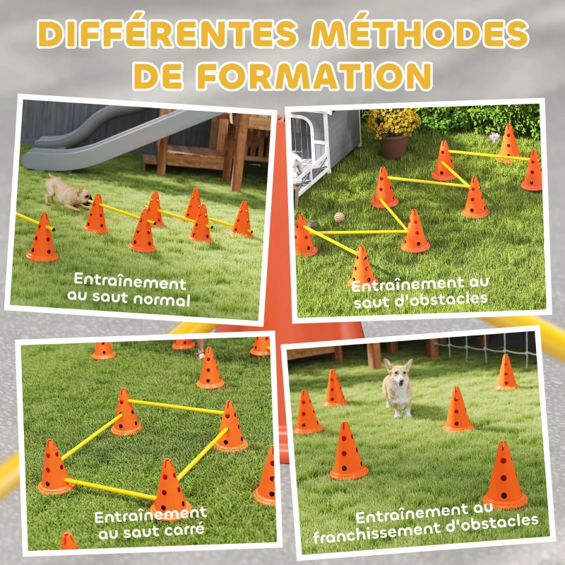 PawHut Ensemble d'Agilité pour Chien 6 Pièce, Parcours d'Obstacle hauteur réglable avec Sac de Transport, Orange