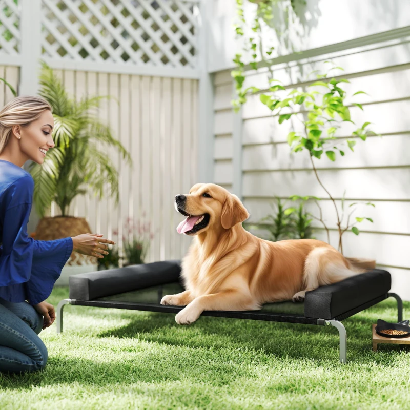 PawHut Lit surélevé pour chien rafraichissant, lit de camp pour chiens intérieur extérieur portable, 130 x 90 x 30 cm, noir