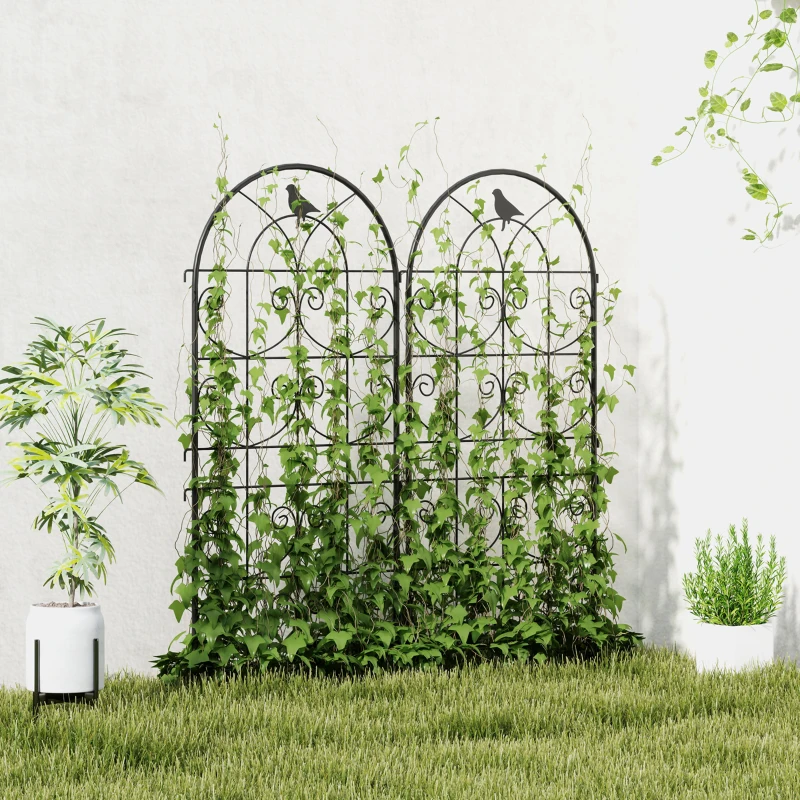 Outsunny Support pour plantes grimpantes avec oiseaux lot de 2 treillis de jardin pour légume vigne fleur métal 50 x 120 cm noir