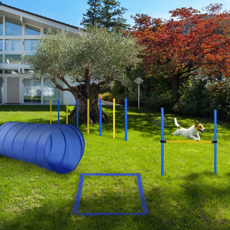PawHut Agility sport pour chiens équipement complet obstacle, tunnel, slalom, zone repos + sac de transport bleu jaune