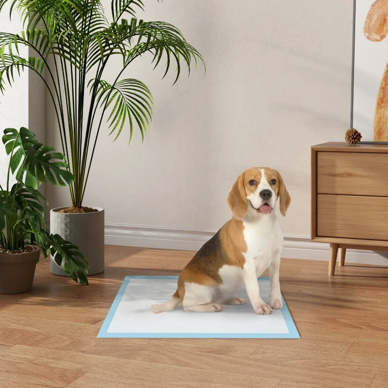 PawHut Empapadores para Perros 80 Unidad 60x60 cm Diseño de 6 Capas con Superficie de Secado Rápido a Prueba de Fugas Azul