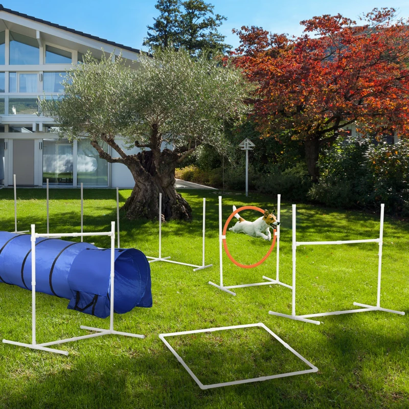 PawHut Six-Piece Dog Agility Equipment Set, with Carry Bag - Multicoloured