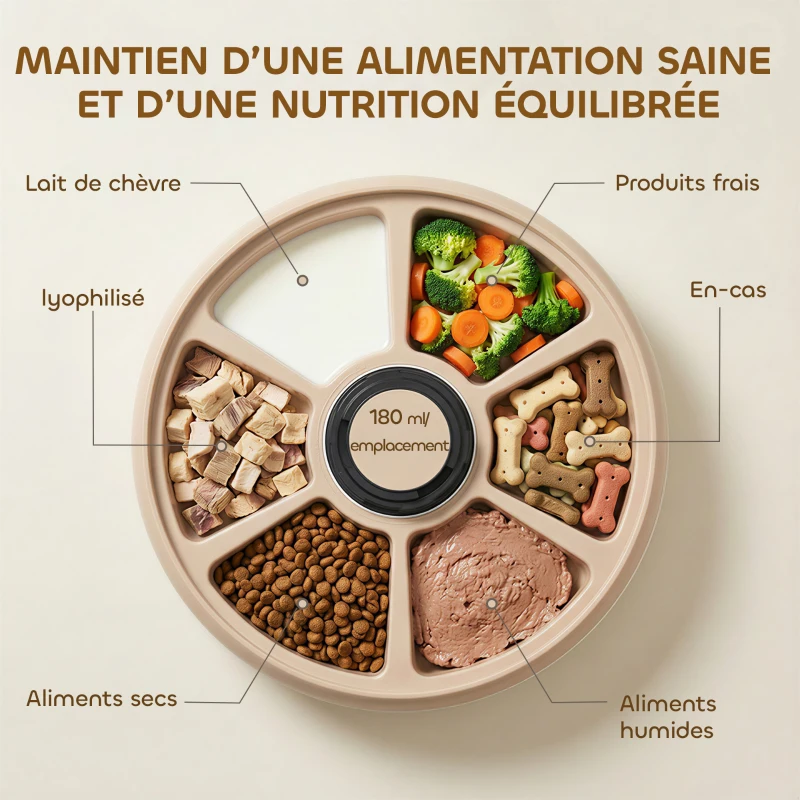 PawHut Distributeur de Nourriture pour Animaux de Compagnie Distributeur Automatique 6 portions 31,5 x 31,5 x 8,3 cm blanc