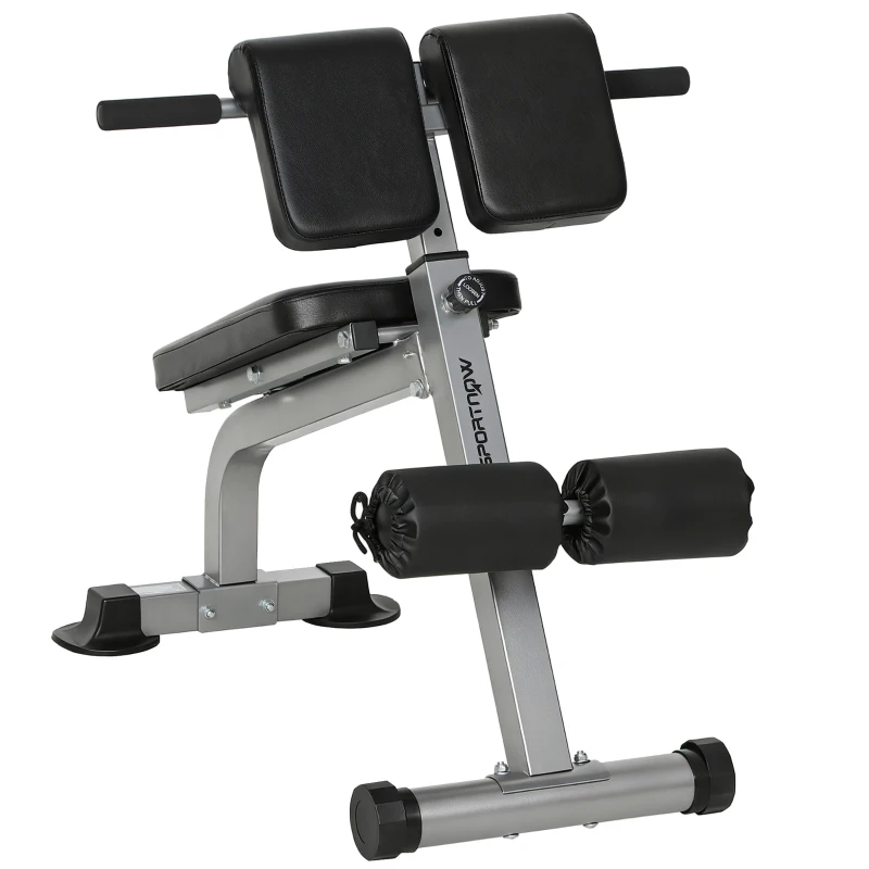 SPORTNOW Panca Romana Regolabile e Pieghevole Multifunzione, Capacità 150 kg, Argento