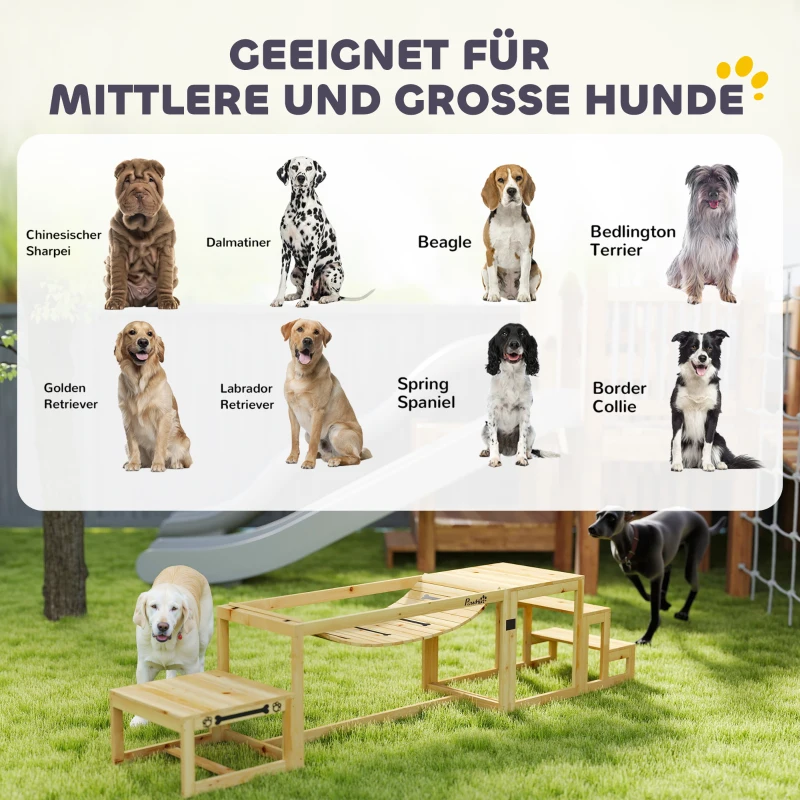 PawHut Agility-Set voor Honden, Trainingsopstelling met Brug, Trap, Platform, Sparrenhout, voor Grote Honden tot 40 kg