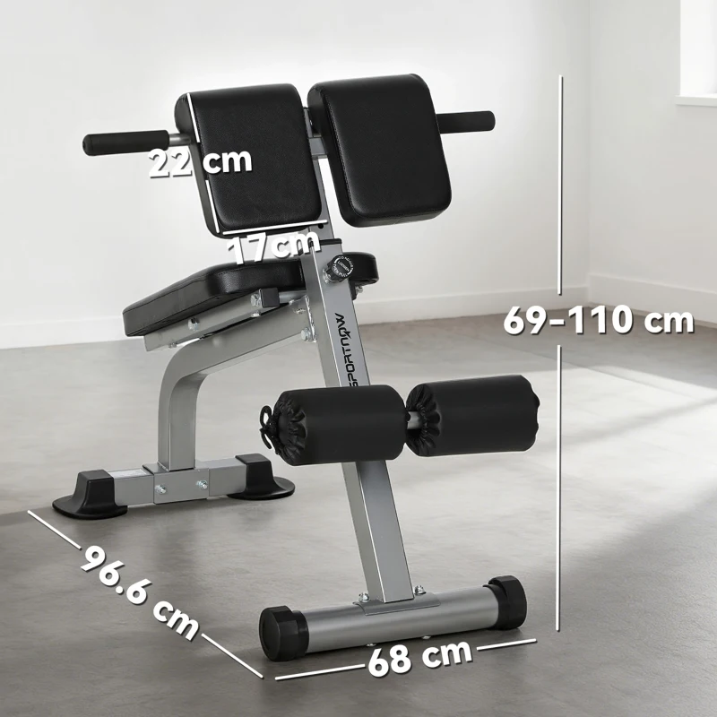SPORTNOW Panca Romana Regolabile e Pieghevole Multifunzione, Capacità 150 kg, Argento