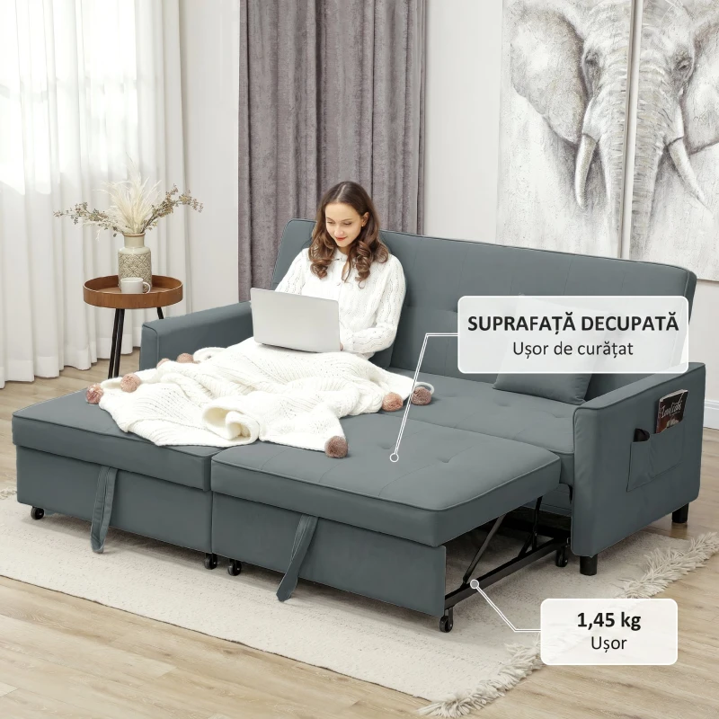 HOMCOM Canapea Extensibilă 3 Locuri Clic Clac cu Spătar Rabatabil și 2 Perne, 196x90x89 cm, Gri