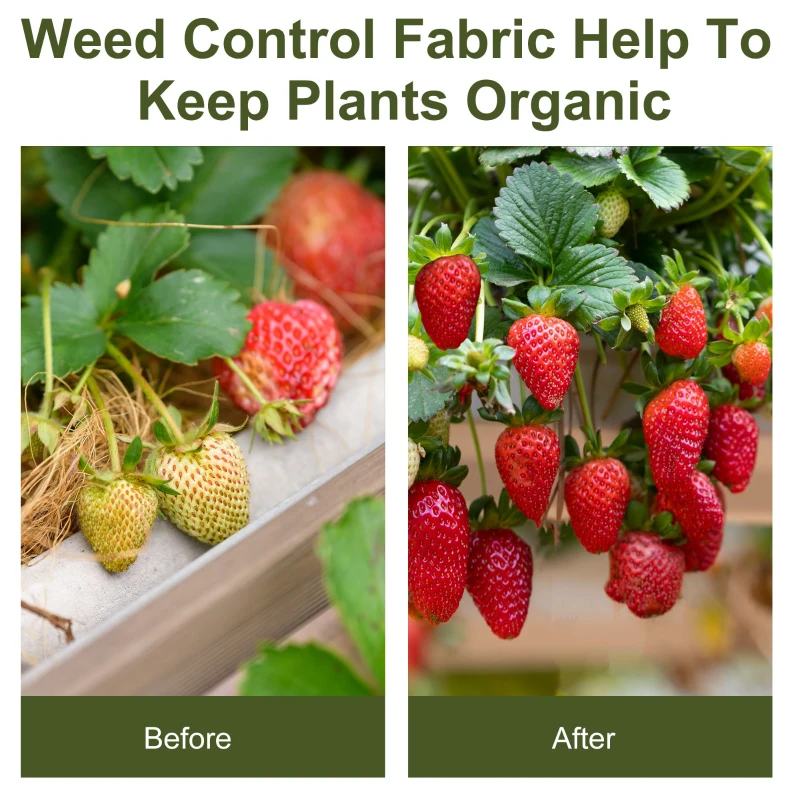 Outsunny 1m x 50m Weed Control Membrane, Heavy Duty Weed Control Barrier Fabric, 100gsm Ground Cover for Patios, Garden