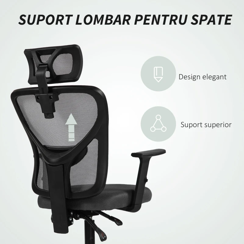 Vinsetto Scaun de birou ergonomic și reglabil cu suport lombar și tetieră, 66x61x106-116 cm, gri