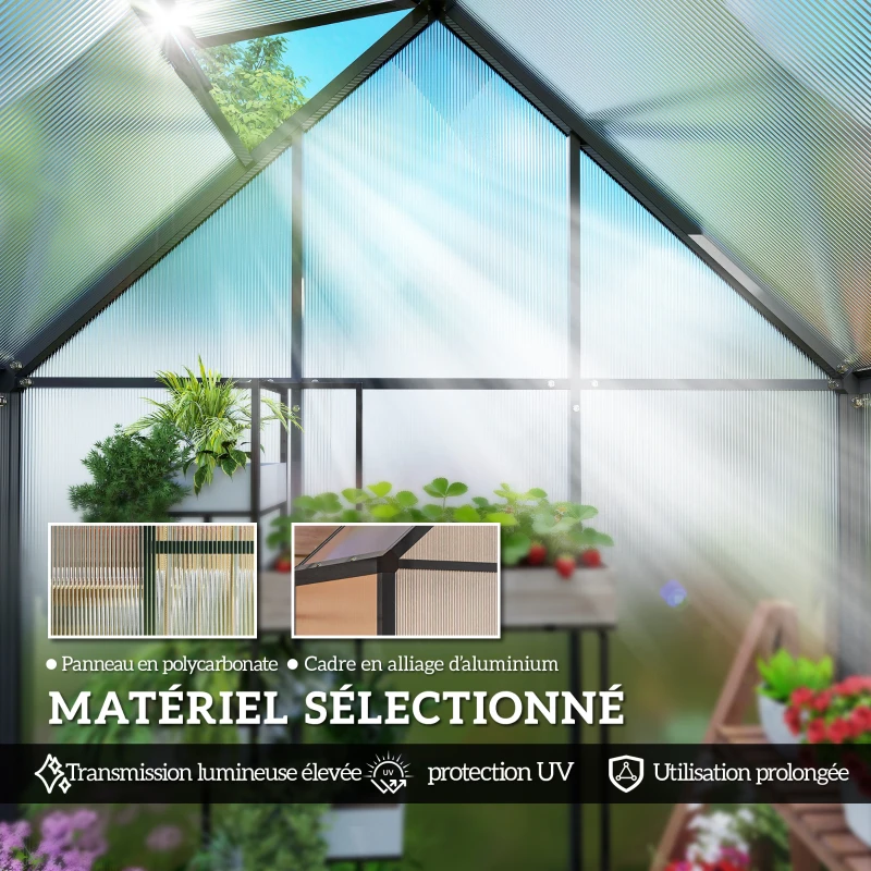 Outsunny Serre de Jardin en Aluminium Polycarbonate, Montage Rapide, Fenêtre Réglable, Porte Battante, 170x58x195cm, Transparent