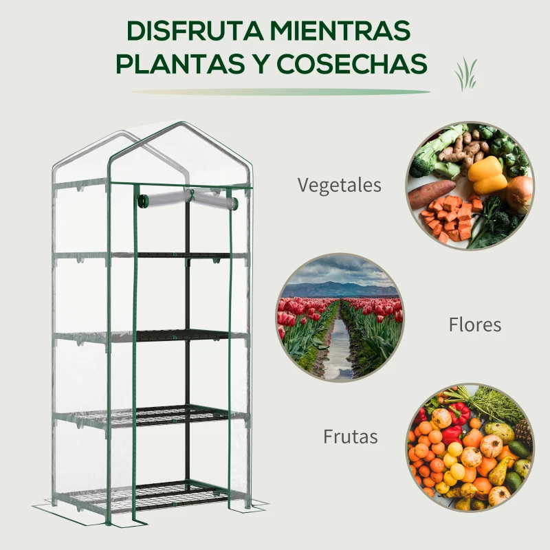 Outsunny Invernadero de Exterior con 4 Estantes, Invernadero Pequeño con Puerta Enrollable, Marco de Acero y Cubierta de Plástico, Anti-UV para Plantas, Macetas, Flores, 70x50x160 cm, Transparente